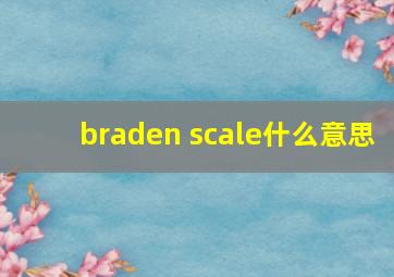 braden scale什么意思